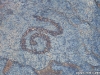 Restinga-b